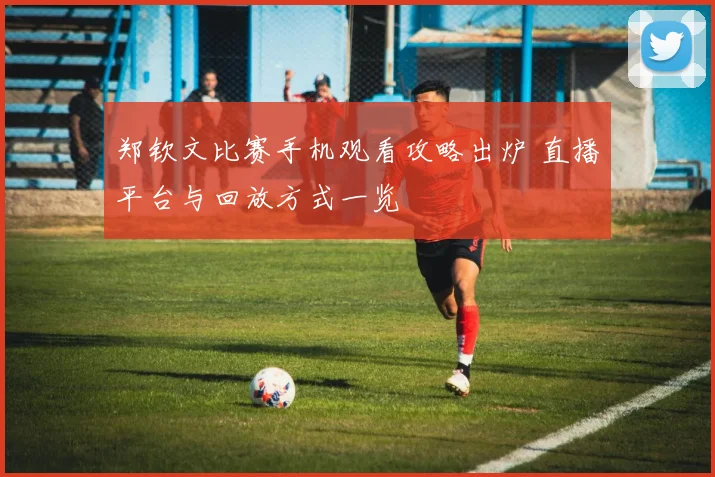 郑钦文比赛手机观看攻略出炉 直播平台与回放方式一览