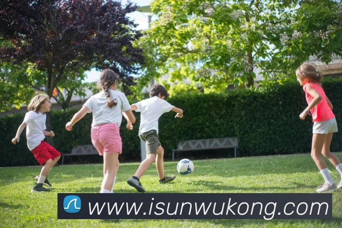 俄罗斯世界杯中国官网平台生态图